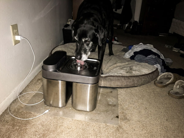 Customer photo of the Crunchy Fountain Steel Edition at home