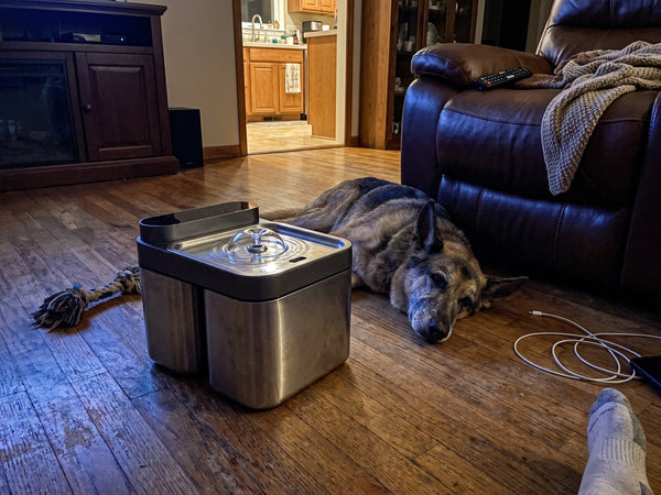 Customer photo of the Crunchy Fountain Steel Edition at home