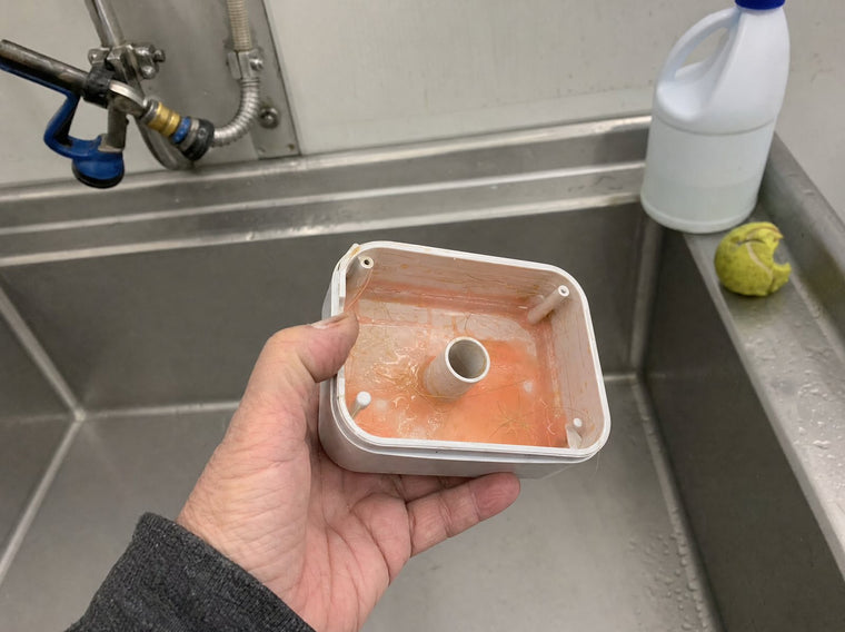 The stainless tray held under a kitchen tap.