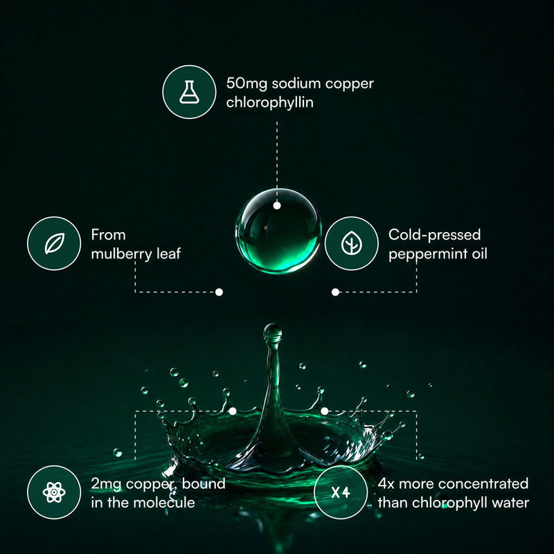 50mg sodium copper chlorophyllin from mulberry leaf with peppermint oil