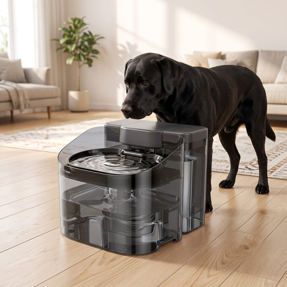 Built for the dog who empties bowls