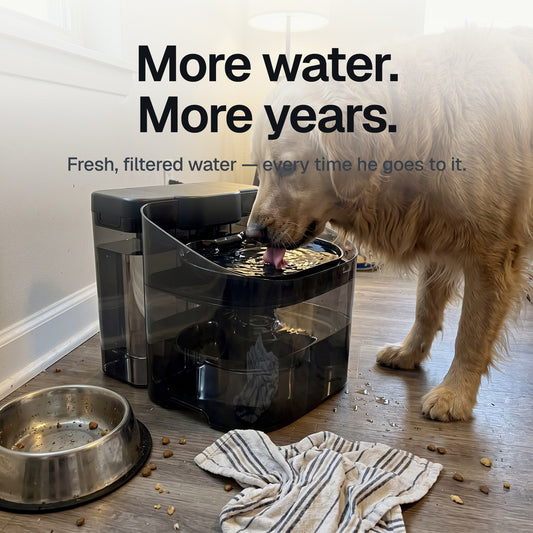 More water. More years. Fresh filtered water every time he goes to it