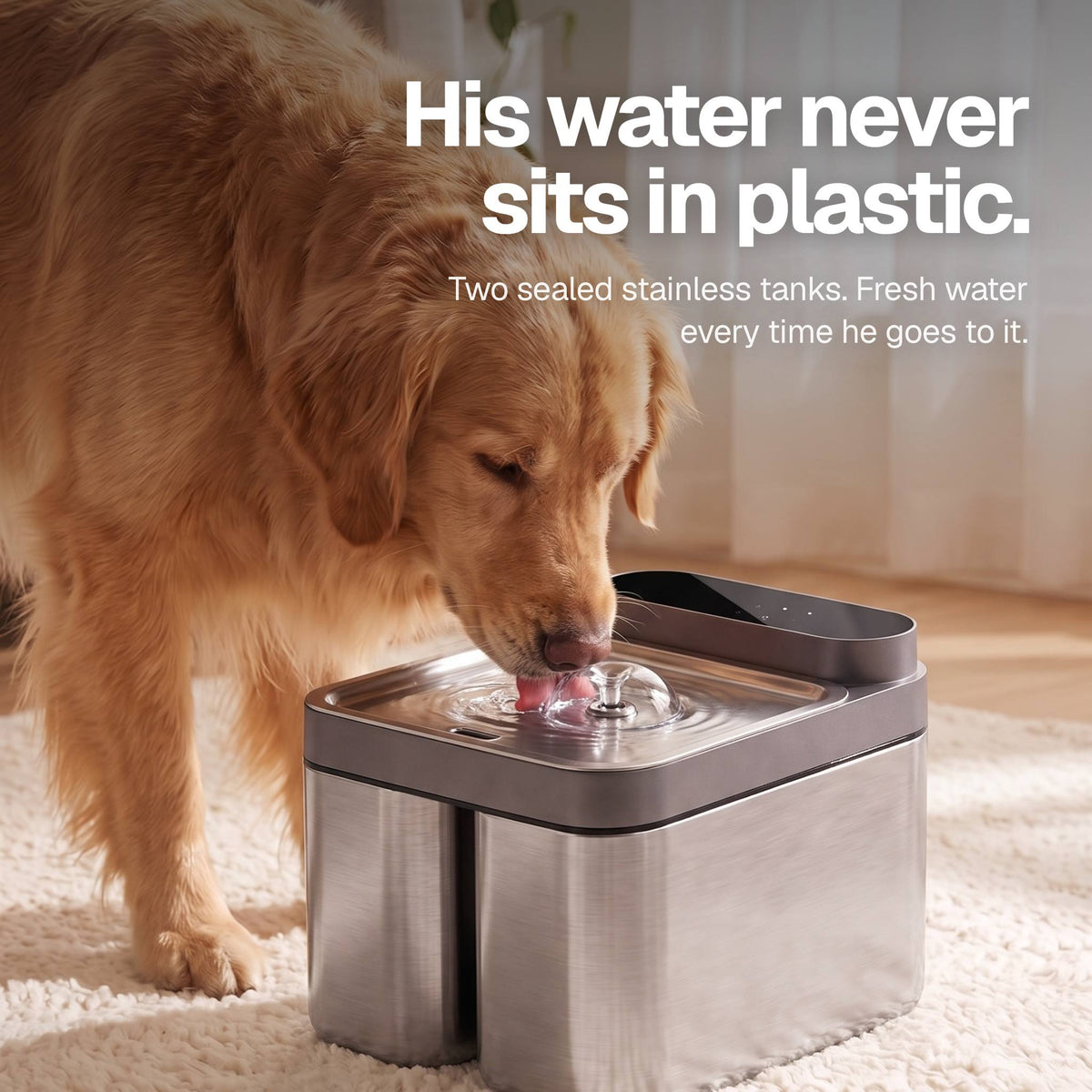Crunchy Fountain Steel Edition, a filterless dog water fountain in brushed stainless steel with two sealed tanks.