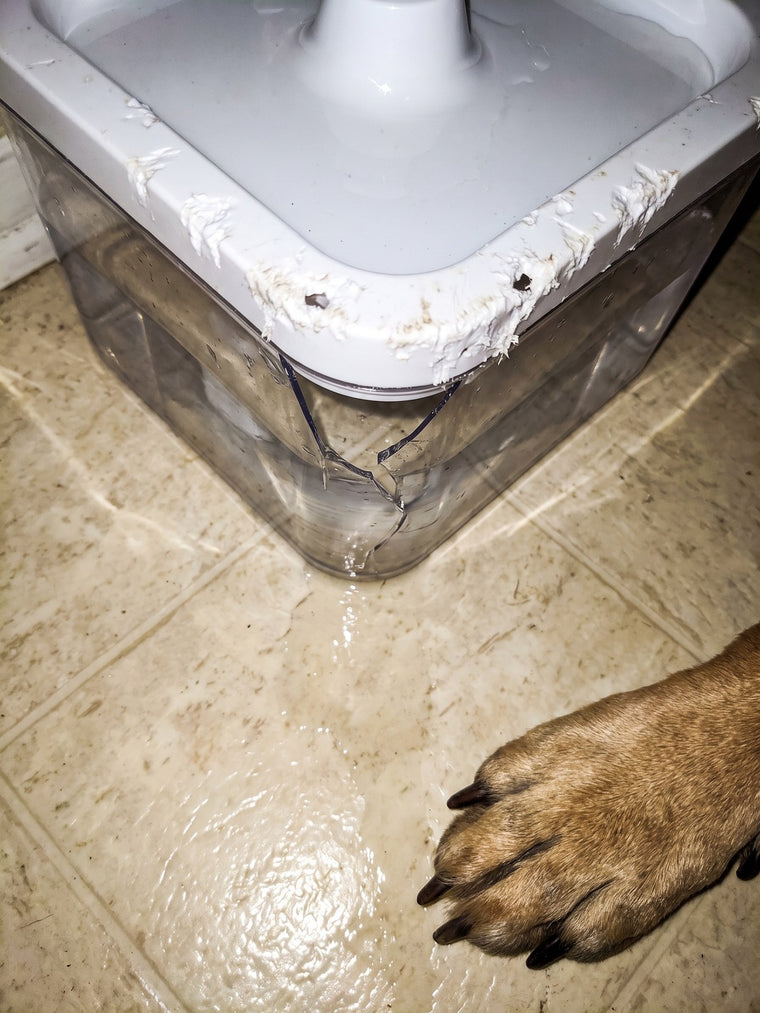 A plastic pet fountain with a cracked, chewed corner.