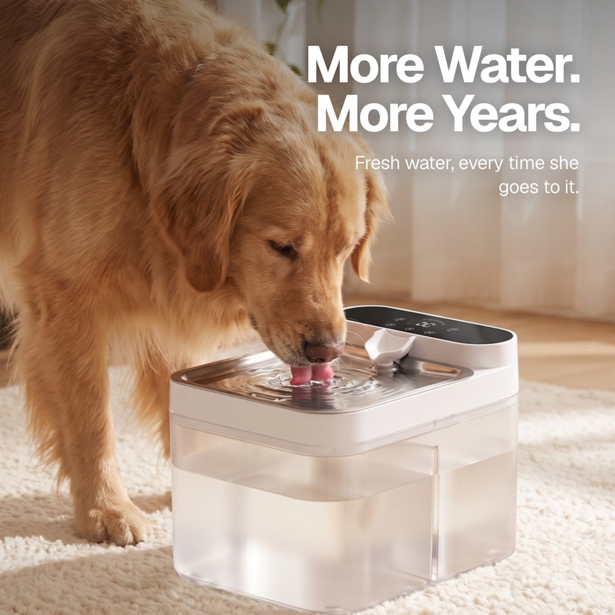 The Crunchy Fountain, filterless dog water fountain with sealed reservoir and stainless steel drinking tray.